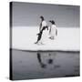 Antarctica. Gentoo Penguins Standing on Sea Ice with Reflection-Janet Muir-Stretched Canvas