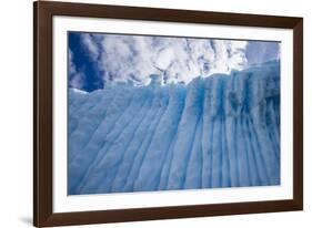 Antarctica, Gerlach Strait, blue ice formation-George Theodore-Framed Photographic Print