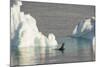 Antarctica. Gerlache Strait. Crabeater Seal and an Iceberg-Inger Hogstrom-Mounted Photographic Print