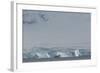 Antarctica. Gerlache Strait. Iceberg with Glacier in the Background-Inger Hogstrom-Framed Photographic Print