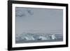 Antarctica. Gerlache Strait. Iceberg with Glacier in the Background-Inger Hogstrom-Framed Photographic Print