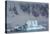 Antarctica. Gerlache Strait. Iceberg-Inger Hogstrom-Stretched Canvas