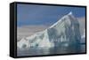 Antarctica. Gerlache Strait. Iceberg-Inger Hogstrom-Framed Stretched Canvas