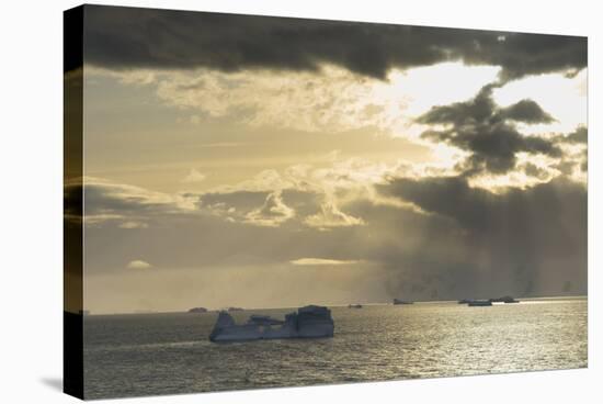 Antarctica. Gerlache Strait. Orne Harbor. Sunset-Inger Hogstrom-Stretched Canvas