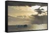 Antarctica. Gerlache Strait. Orne Harbor. Sunset-Inger Hogstrom-Framed Stretched Canvas