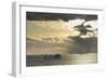 Antarctica. Gerlache Strait. Orne Harbor. Sunset-Inger Hogstrom-Framed Photographic Print