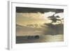 Antarctica. Gerlache Strait. Orne Harbor. Sunset-Inger Hogstrom-Framed Photographic Print