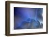 Antarctica Glacial Ice-Art Wolfe-Framed Photographic Print