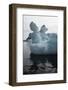 Antarctica. Iceberg-Janet Muir-Framed Photographic Print