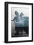 Antarctica. Iceberg-Janet Muir-Framed Photographic Print