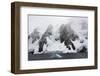 Antarctica. Lemaire Channel. Glacier Covered Mountains-Inger Hogstrom-Framed Photographic Print