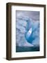 Antarctica, Lemaire Channel, iceberg in the Lemaire Channel-Hollice Looney-Framed Photographic Print