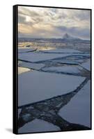 Antarctica. Near Adelaide Island. the Gullet. Ice Floes and Brash Ice-Inger Hogstrom-Framed Stretched Canvas