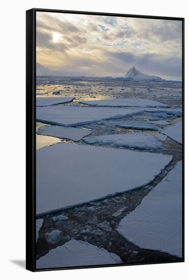 Antarctica. Near Adelaide Island. the Gullet. Ice Floes and Brash Ice-Inger Hogstrom-Framed Stretched Canvas