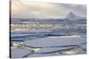 Antarctica. Near Adelaide Island. the Gullet. Ice Floes and Brash Ice-Inger Hogstrom-Stretched Canvas