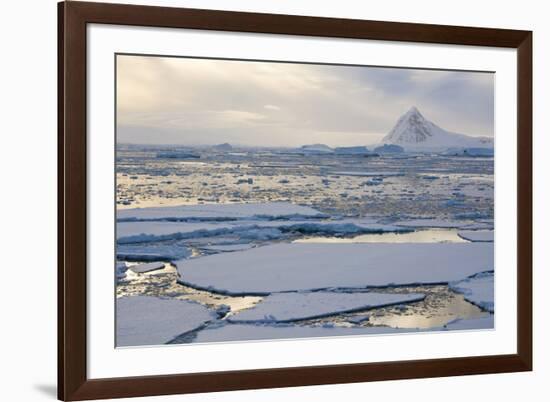 Antarctica. Near Adelaide Island. the Gullet. Ice Floes and Brash Ice-Inger Hogstrom-Framed Photographic Print