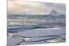 Antarctica. Near Adelaide Island. the Gullet. Ice Floes and Brash Ice-Inger Hogstrom-Mounted Photographic Print