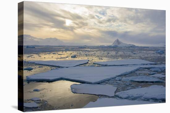 Antarctica. Near Adelaide Island. the Gullet. Ice Floes and Brash Ice-Inger Hogstrom-Stretched Canvas