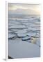 Antarctica, Near Adelaide Island. the Gullet. Ice Floes and Brash Ice-Inger Hogstrom-Framed Photographic Print