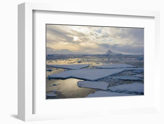 Antarctica. Near Adelaide Island. the Gullet. Ice Floes and Brash Ice-Inger Hogstrom-Framed Photographic Print