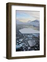 Antarctica. Near Adelaide Island. the Gullet. Ice Floes and Brash Ice-Inger Hogstrom-Framed Photographic Print