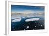 Antarctica. Near Adelaide Island. the Gullet. Ice Floes at Sunset-Inger Hogstrom-Framed Photographic Print