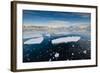 Antarctica. Near Adelaide Island. the Gullet. Ice Floes at Sunset-Inger Hogstrom-Framed Photographic Print