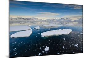 Antarctica. Near Adelaide Island. the Gullet. Ice Floes at Sunset-Inger Hogstrom-Mounted Photographic Print
