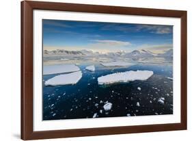 Antarctica. Near Adelaide Island. the Gullet. Ice Floes at Sunset-Inger Hogstrom-Framed Photographic Print