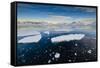 Antarctica. Near Adelaide Island. the Gullet. Ice Floes at Sunset-Inger Hogstrom-Framed Stretched Canvas