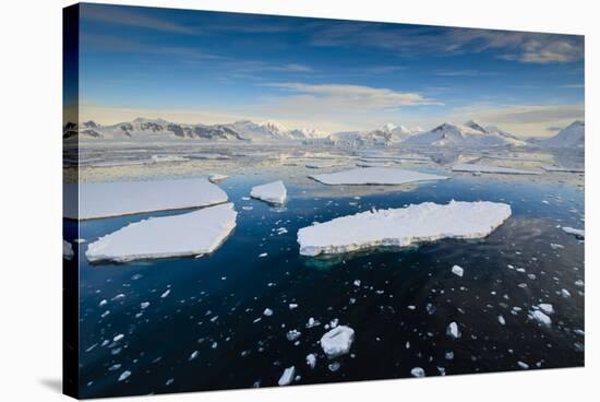 Antarctica. Near Adelaide Island. the Gullet. Ice Floes at Sunset-Inger Hogstrom-Stretched Canvas