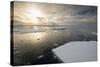 Antarctica. Near Adelaide Island. the Gullet. Ice Floes at Sunset-Inger Hogstrom-Stretched Canvas