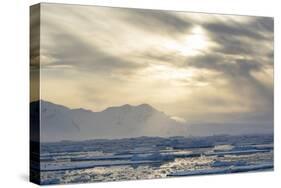 Antarctica. Near Adelaide Island. the Gullet. Ice Floes at Sunset-Inger Hogstrom-Stretched Canvas