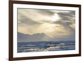 Antarctica. Near Adelaide Island. the Gullet. Ice Floes at Sunset-Inger Hogstrom-Framed Photographic Print