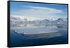 Antarctica. Near Adelaide Island. the Gullet. Ice Floes at Sunset-Inger Hogstrom-Framed Stretched Canvas