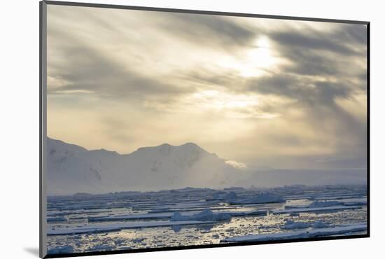 Antarctica. Near Adelaide Island. the Gullet. Ice Floes at Sunset-Inger Hogstrom-Mounted Photographic Print