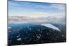Antarctica, Near Adelaide Island. the Gullet. Ice Floes at Sunset-Inger Hogstrom-Mounted Photographic Print