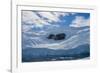 Antarctica. Neko Harbor. Glacier That Surrounds the Harbor-Inger Hogstrom-Framed Photographic Print