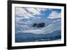 Antarctica. Neko Harbor. Glacier That Surrounds the Harbor-Inger Hogstrom-Framed Photographic Print