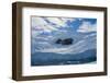 Antarctica. Neko Harbor. Glacier That Surrounds the Harbor-Inger Hogstrom-Framed Photographic Print