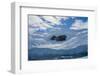 Antarctica. Neko Harbor. Glacier That Surrounds the Harbor-Inger Hogstrom-Framed Photographic Print