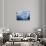 Antarctica, Paradise Bay, iceberg-Hollice Looney-Photographic Print displayed on a wall