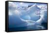 Antarctica, Paradise Bay, iceberg-Hollice Looney-Framed Stretched Canvas
