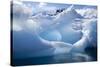 Antarctica, Paradise Bay, iceberg-Hollice Looney-Stretched Canvas