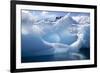 Antarctica, Paradise Bay, iceberg-Hollice Looney-Framed Photographic Print