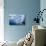 Antarctica, Paradise Bay, iceberg-Hollice Looney-Photographic Print displayed on a wall