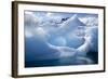 Antarctica, Paradise Bay, iceberg-Hollice Looney-Framed Photographic Print