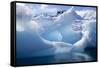 Antarctica, Paradise Bay, iceberg-Hollice Looney-Framed Stretched Canvas