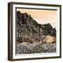 Antarctica Peninsula, Elephant Seal Rests on the Rocks-Janet Muir-Framed Photographic Print