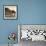 Antarctica Peninsula, Elephant Seal Rests on the Rocks-Janet Muir-Framed Photographic Print displayed on a wall